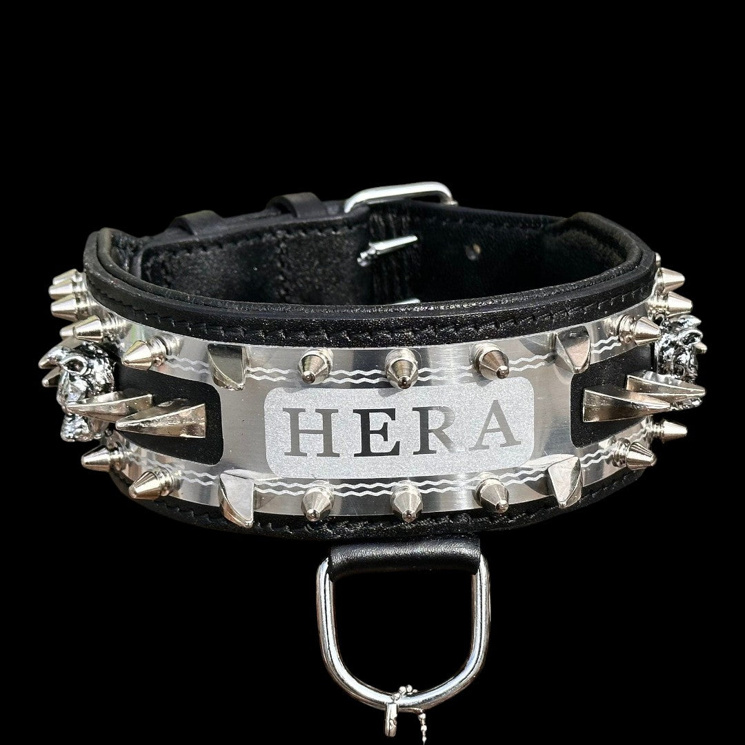 A&C Dog Collars marka, üzerinde HERA yazılı metal isim plakası ve sivri uçlu çiviler bulunan siyah deri köpek tasması.