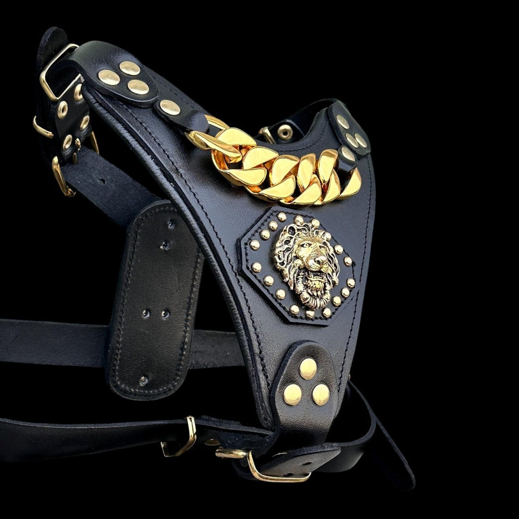 A&C Dog Collars siyah manda derisi köpek göğüs tasması, altın rengi aslan figürü ve zincir detaylı lüks tasarım.
