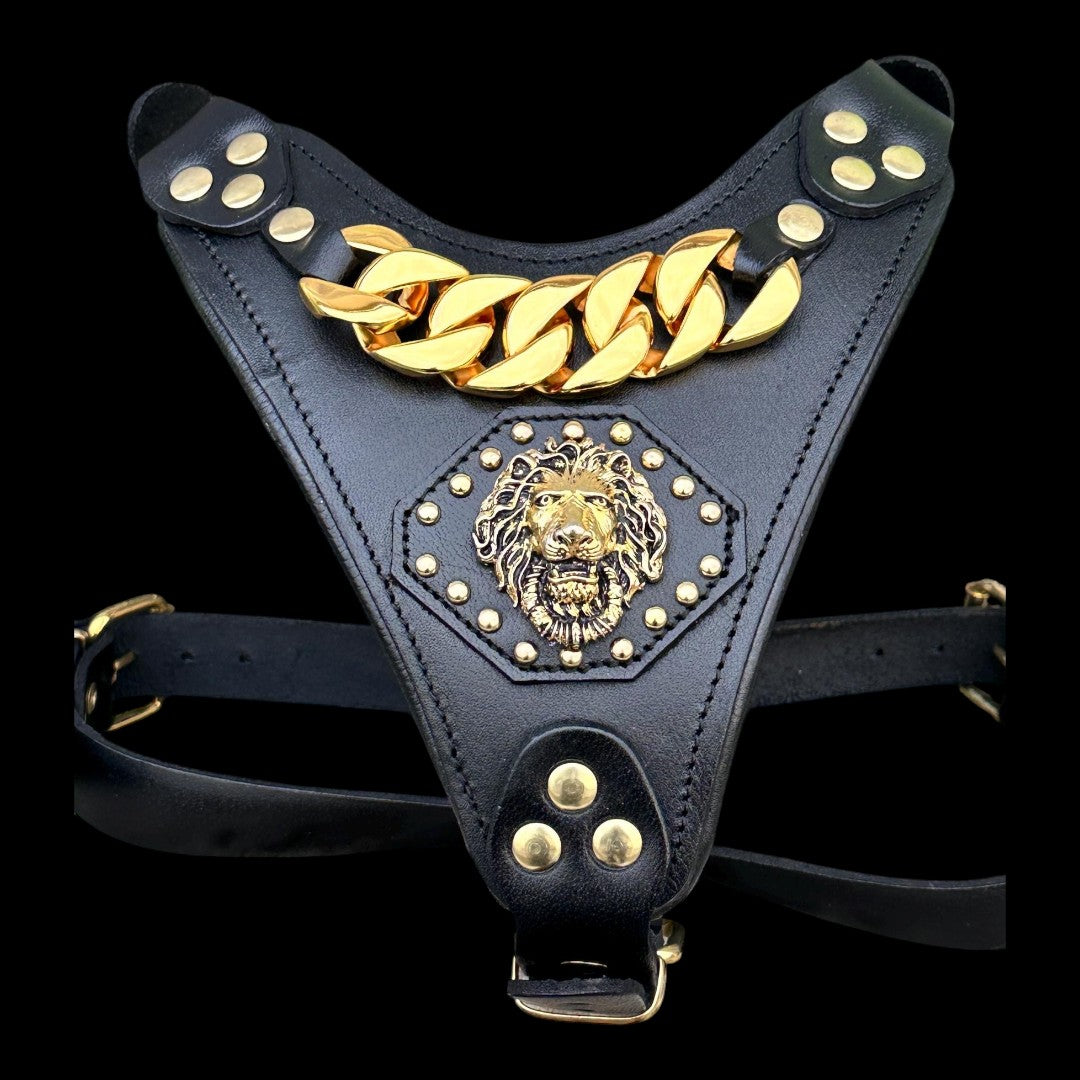A&C Dog Collars siyah manda derisi köpek göğüs tasması, altın aslan figürü ve kalın zincir detaylı lüks tasarım.