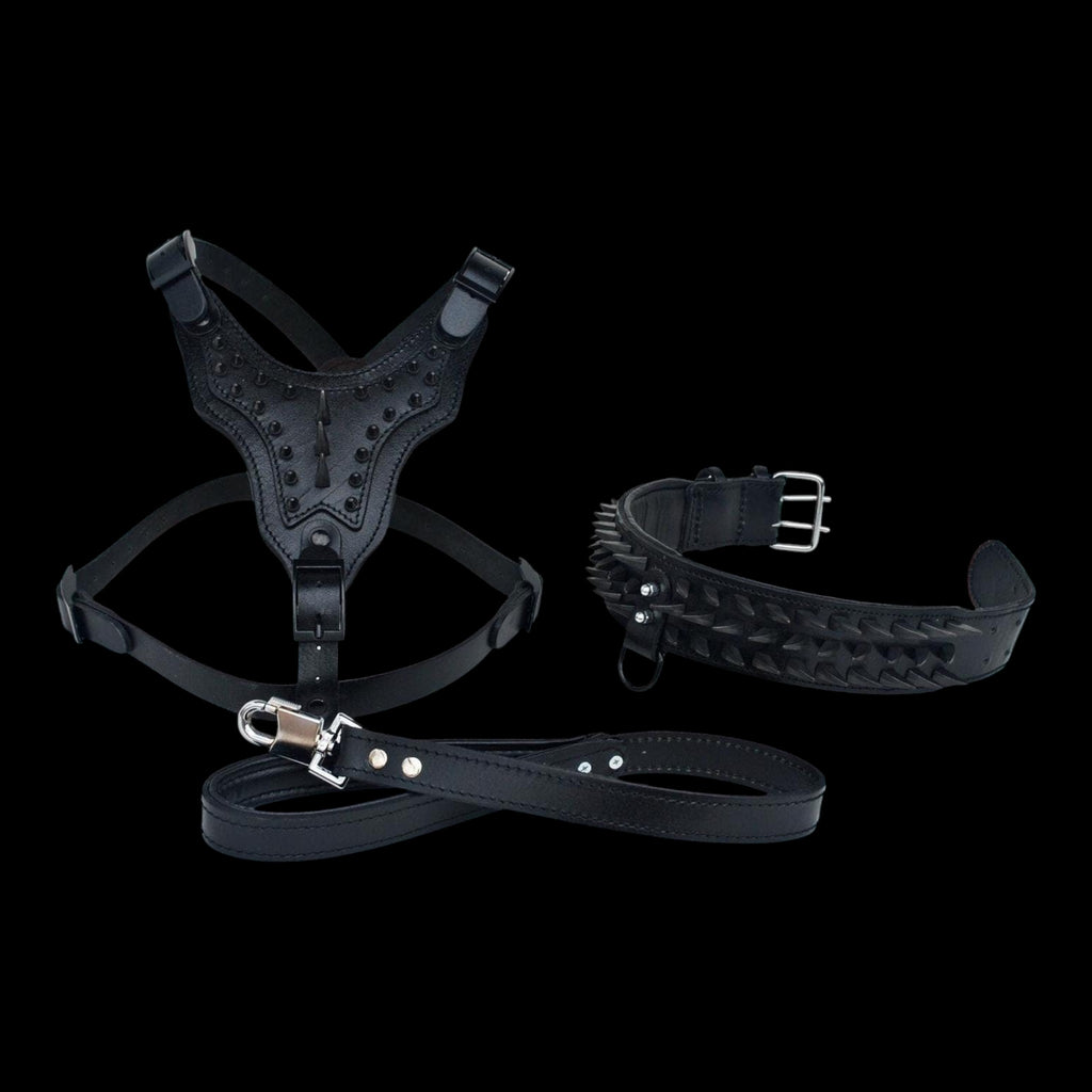 A&C Dog Collars el yapımı siyah manda derisi köpek göğüs tasması, çivili tasma ve deri kayış seti