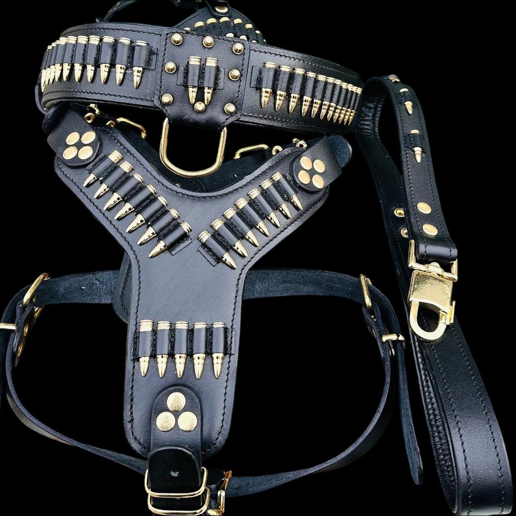A&C Dog Collars el yapımı siyah manda derisi köpek göğüs tasması ve tasma seti, altın rengi mermi detaylı ve aksesuarlı