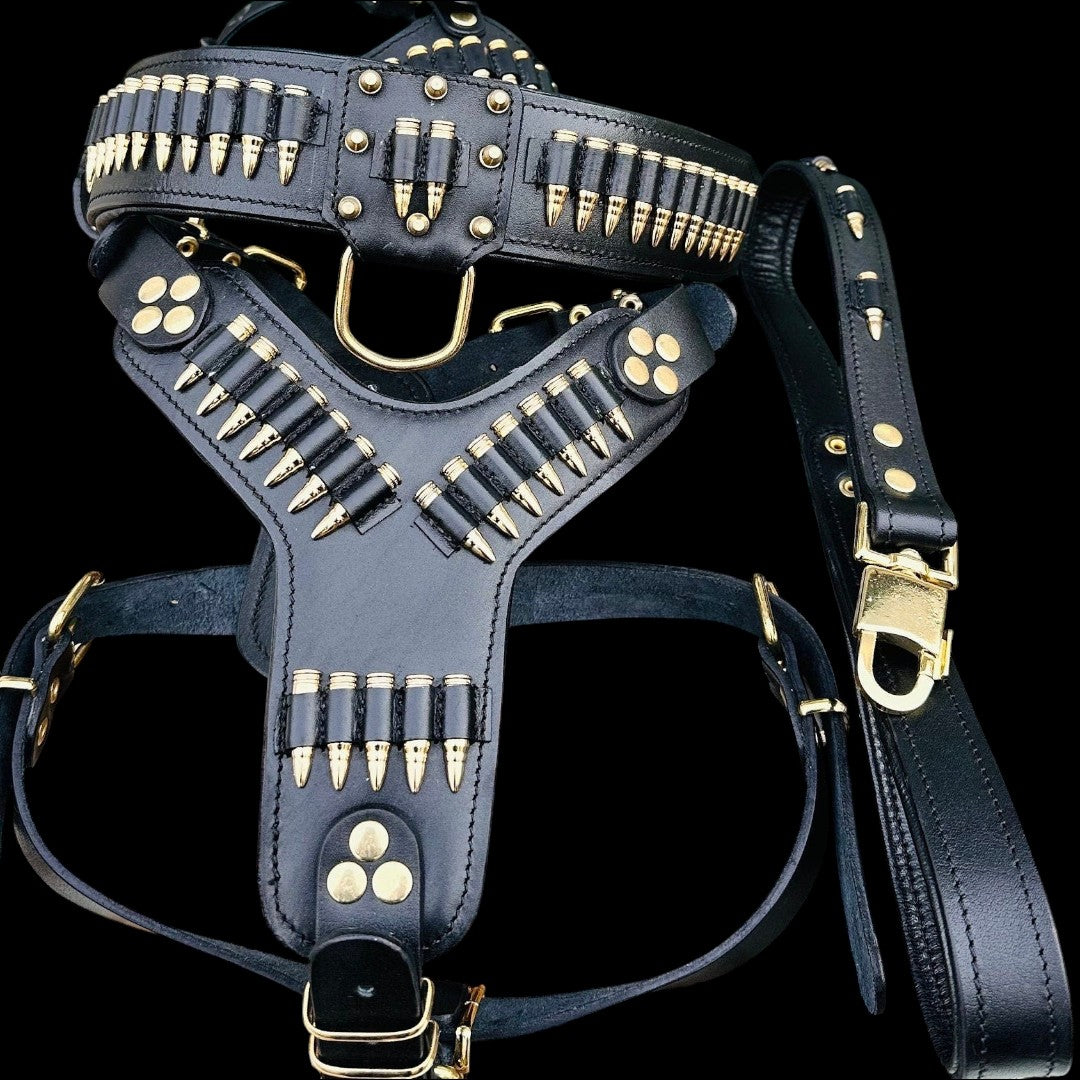 A&C Dog Collars el yapımı siyah manda derisi köpek göğüs tasması ve tasma seti, altın rengi mermi detaylı ve aksesuarlı
