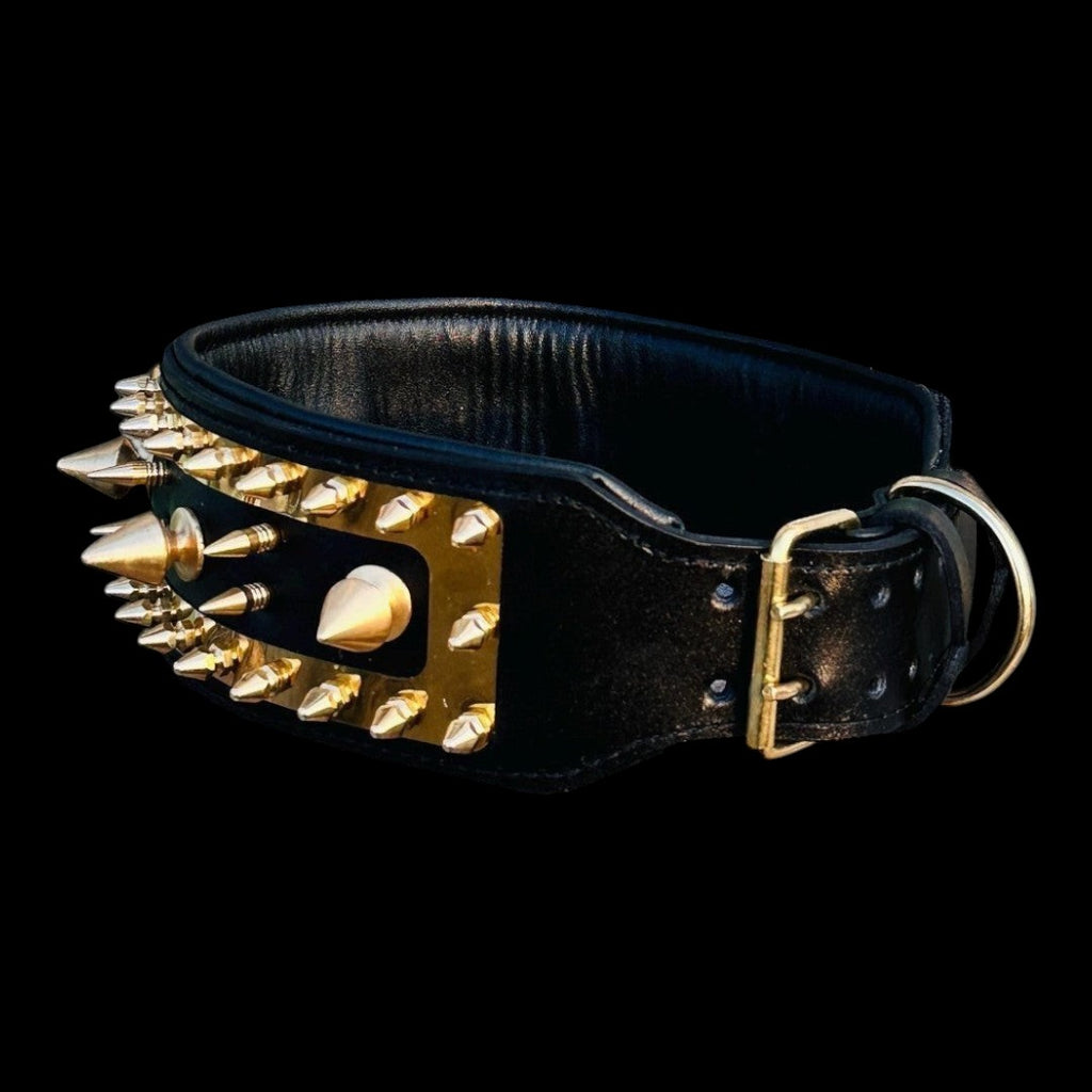 A&C Dog Collars büyük ırklar için altın renkli çelik plakalı ve sivri uçlu siyah deri köpek tasması