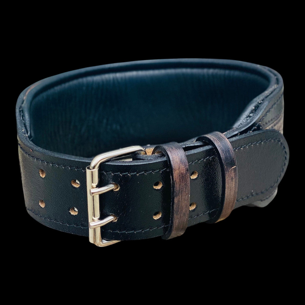 A&C Dog Collars marka, el yapımı siyah manda derisi köpek tasması, paslanmaz metal tokalı ve dayanıklı tasarım.