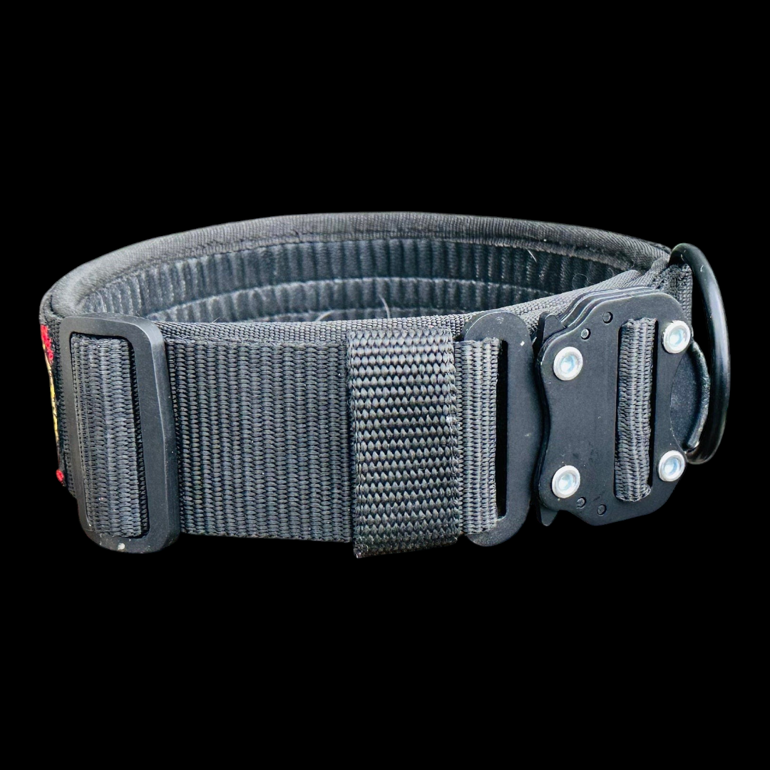 A&C Dog Collars marka siyah naylon köpek tasması, dayanıklı metal tokalı ve ayarlanabilir kayışlı tasarım