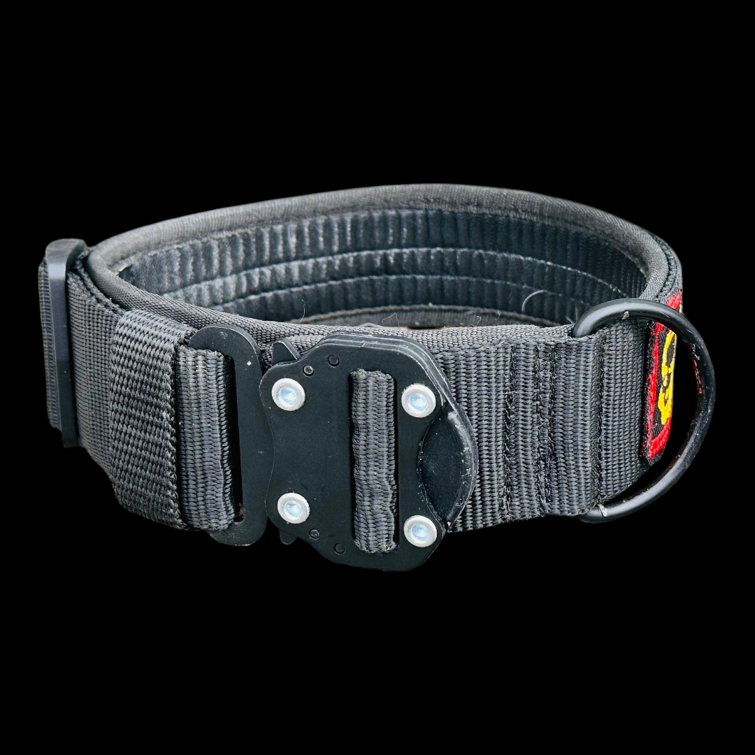 A&C Dog Collars marka siyah dayanıklı naylon köpek tasması, metal tokalı ve D-halkalı, ahşap zemin üzerinde.