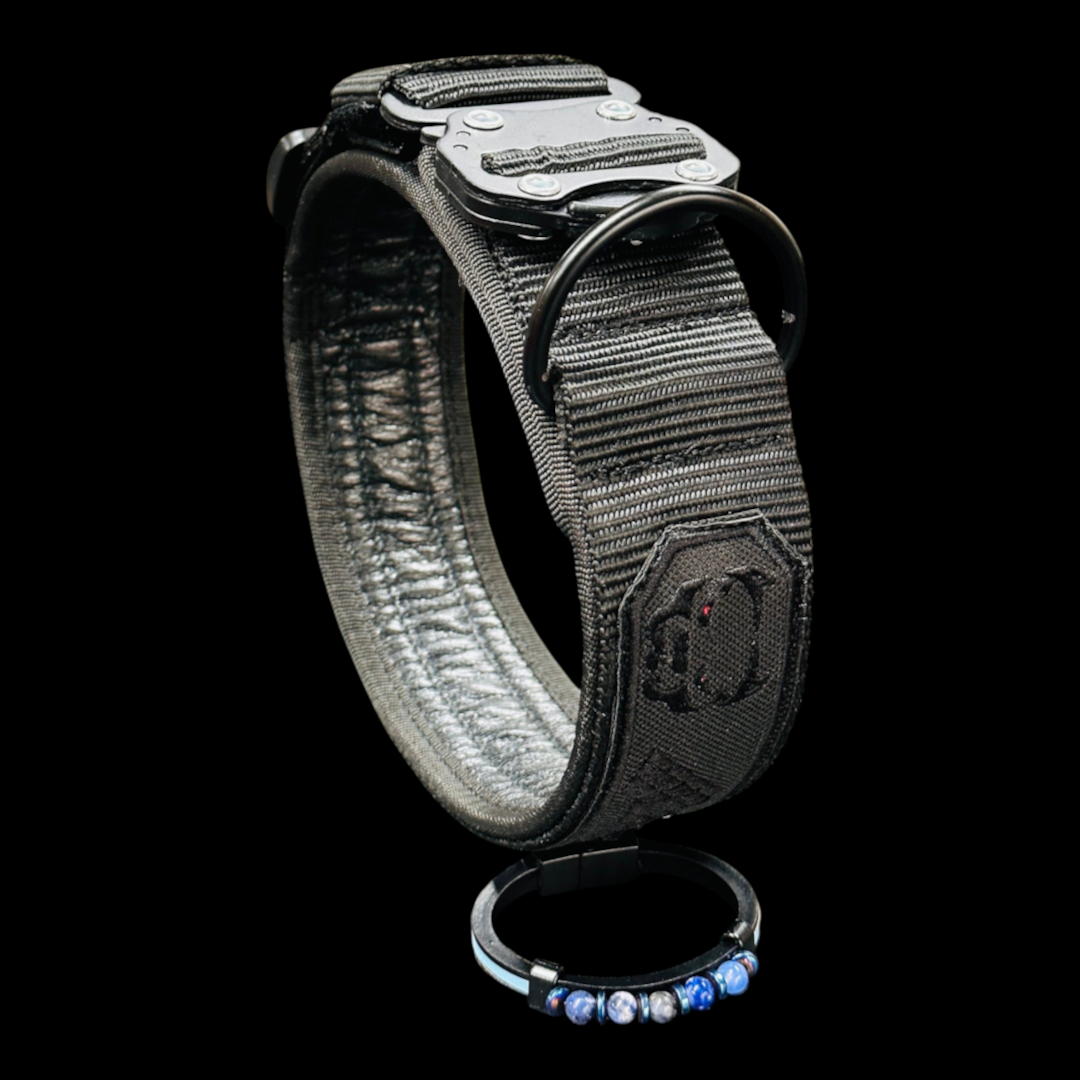 A&C Dog Collars marka siyah naylon köpek tasması, dayanıklı metal tokalı ve özel tasarım detaylı el yapımı aksesuar.