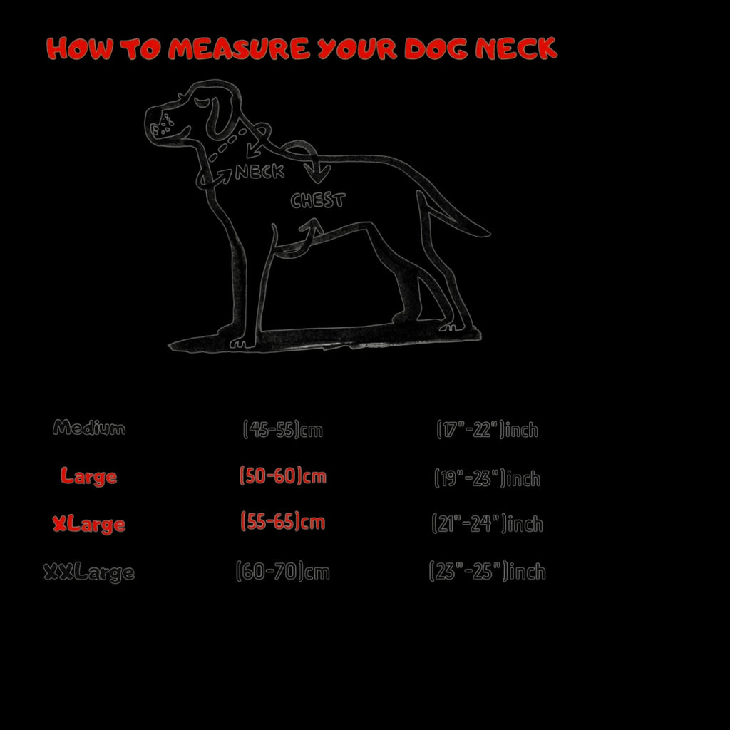 A&C Dog Collars size guide showing how to measure a dog's neck and chest for a custom leather collar fit.