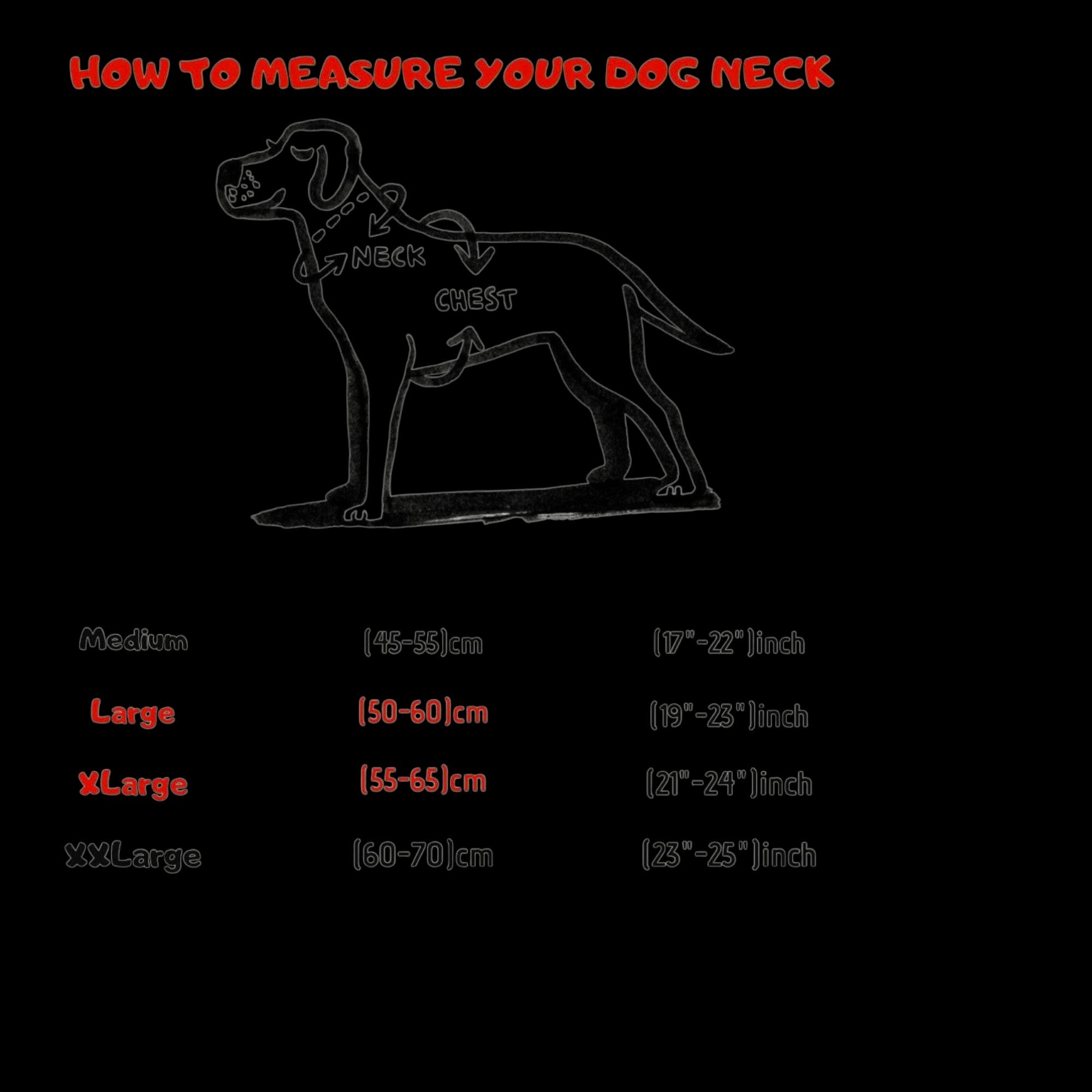 A&C Dog Collars size guide showing how to measure a dog's neck and chest for a custom leather collar fit.