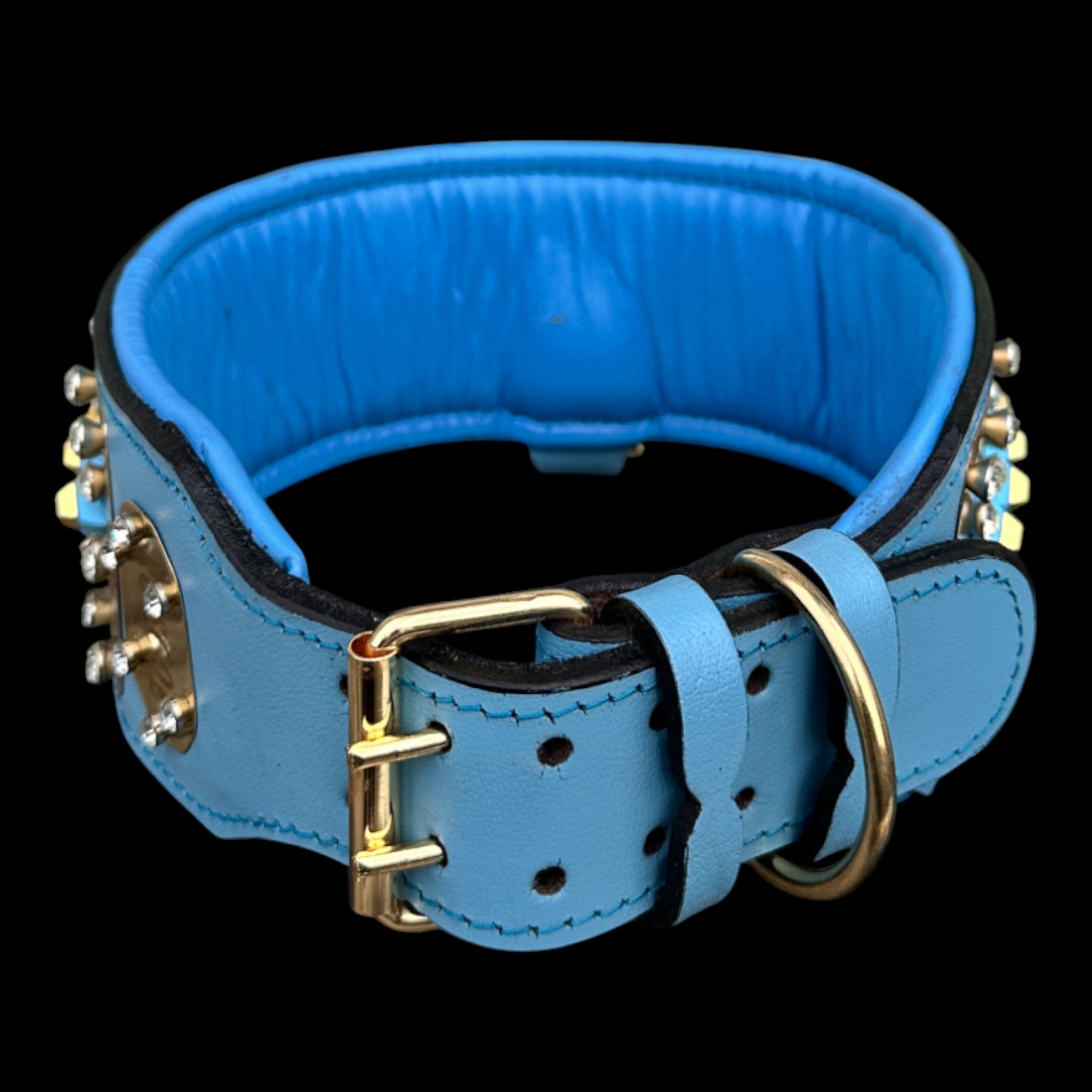 Gold-plated lion logo collar for Cane Corso and Kangal.