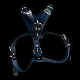 American Bully wearing Pitbull emblem buffalo leather harness