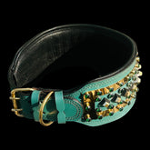 3.93 inch wide luxury collar with engraved photo plate
