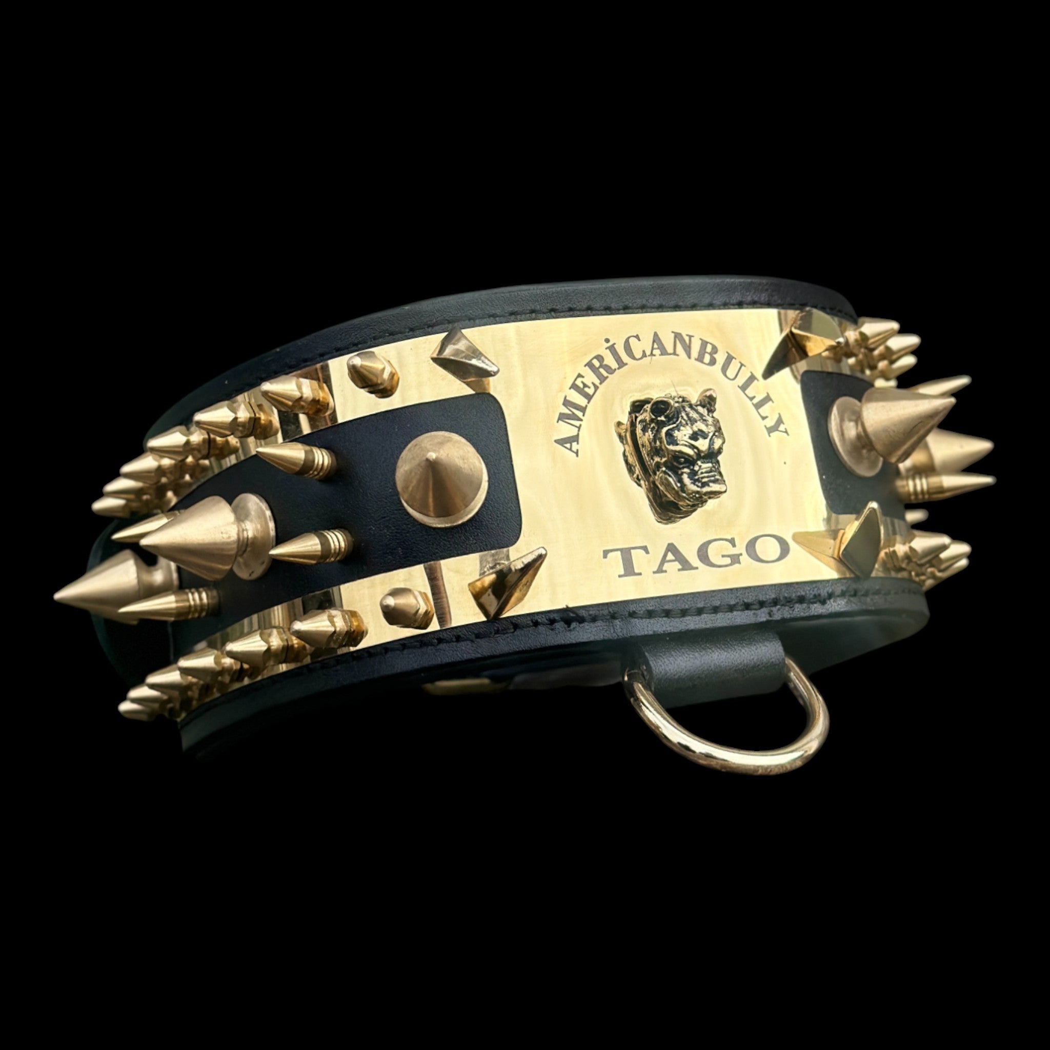 Handmade black leather dog collar with gold spikes and nameplate