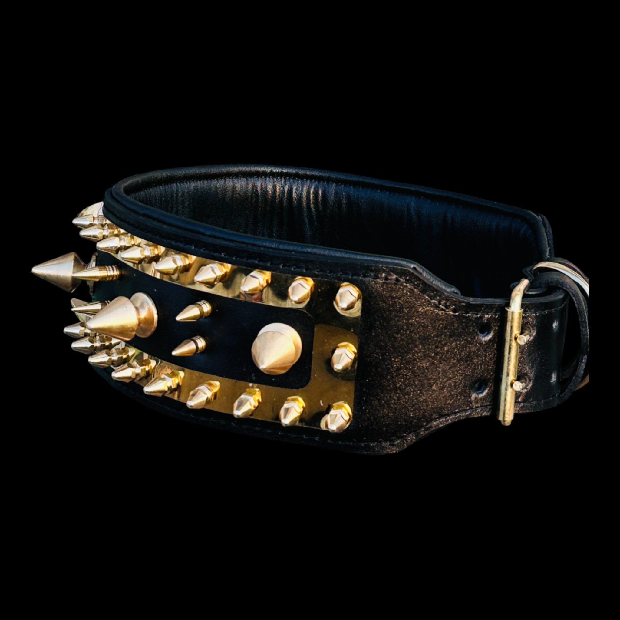 Laser engraved photo dog collar with gold spikes