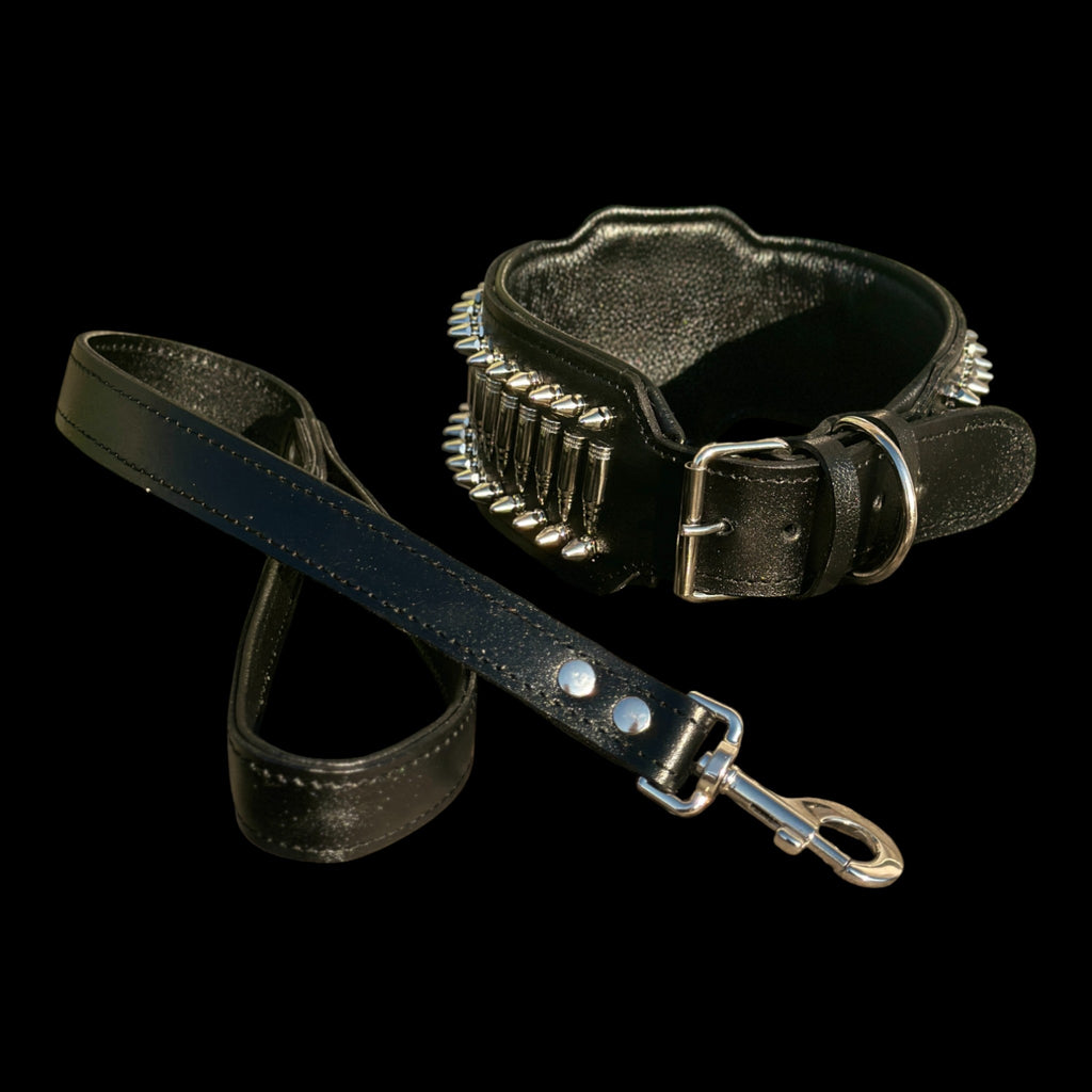 Personalized stainless-steel dog collar for Cane Corsov