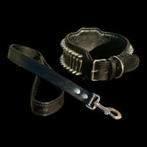 Personalized stainless-steel dog collar for Cane Corsov