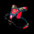 Red and black buffalo leather dog harness with gold spikes