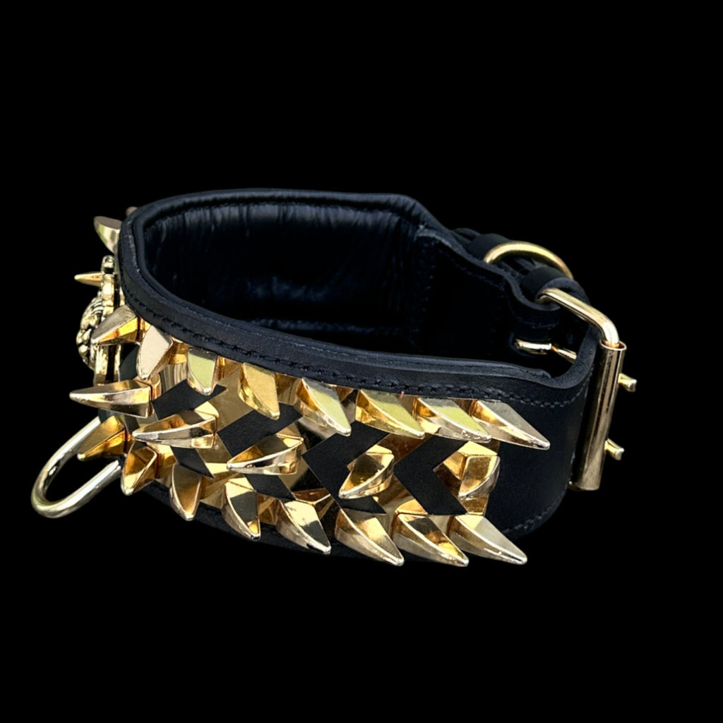 aureus_fang_dog_collar_2_36inch