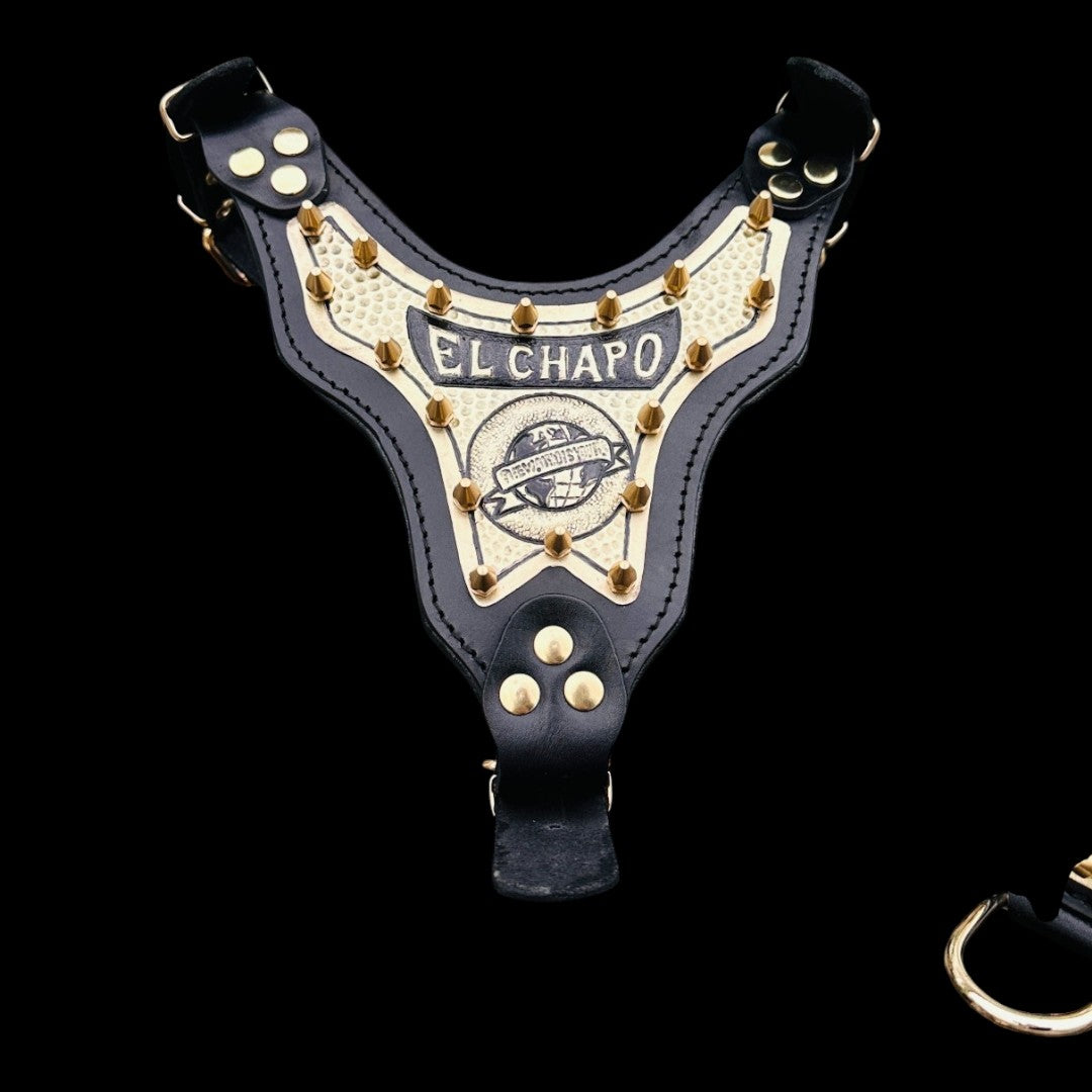 Personalized Black & Gold Leather Dog Collar & Harness Set – Handmade Spiked Design