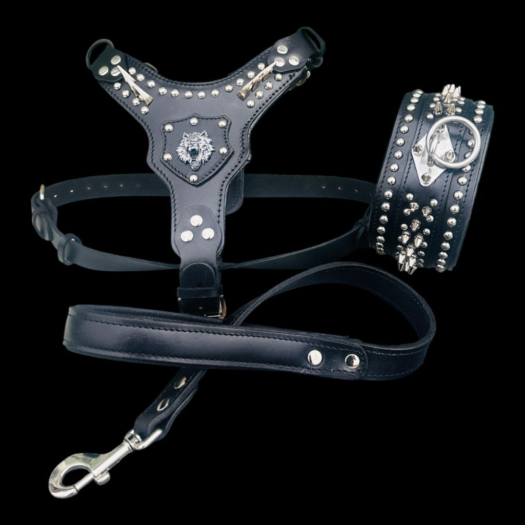 Black Leather Dog Collar, Harness & Leash Set – Handmade Spiked Large Breed Set