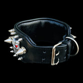 Premium buffalo leather collar designed for power and comfort