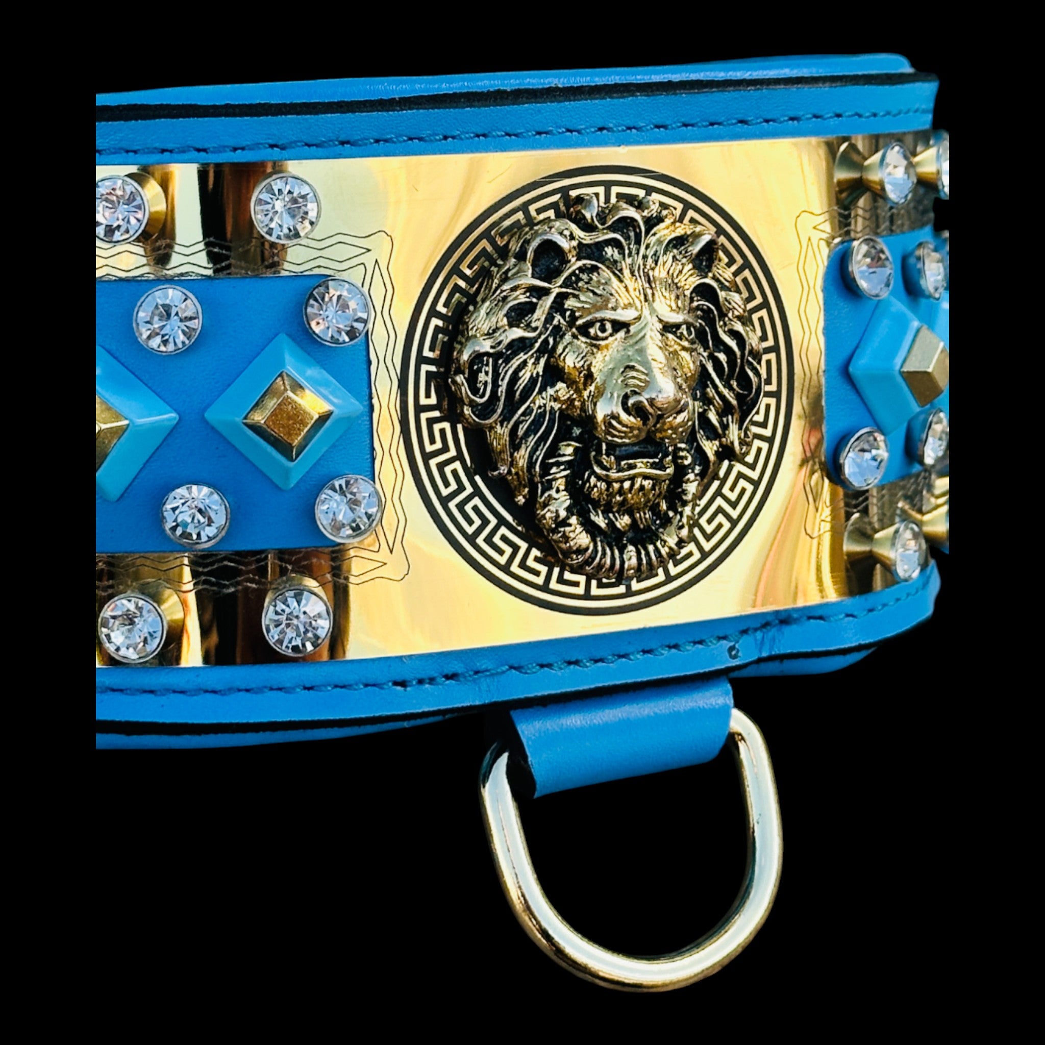 Luxury lion emblem collar with gold studs