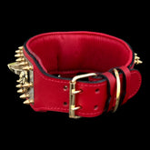 Extreme leather dog collar for Cane Corso, Kangal, and Rottweiler breeds.