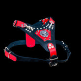Handmade buffalo leather dog harness with lion emblem. Strong, stylish, and built for powerful breeds like Bully, Cane Corso, Rottweiler & K9 - A&C Dog Collars