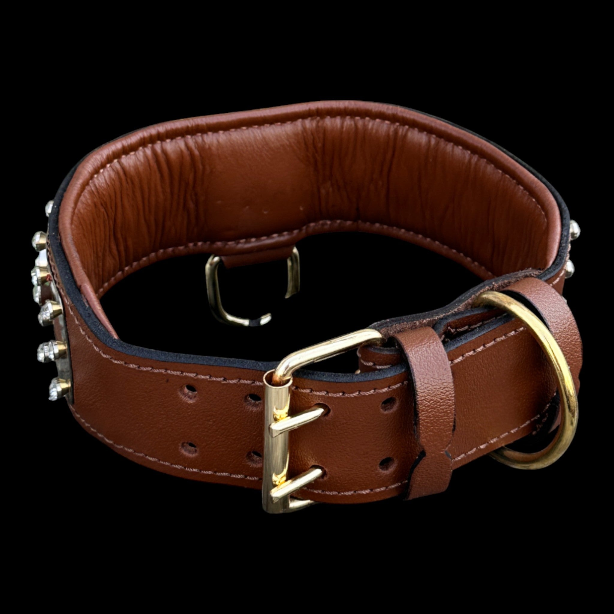 Luxury 6 cm dog collar for Cane Corso, Rottweiler, and Kangal
