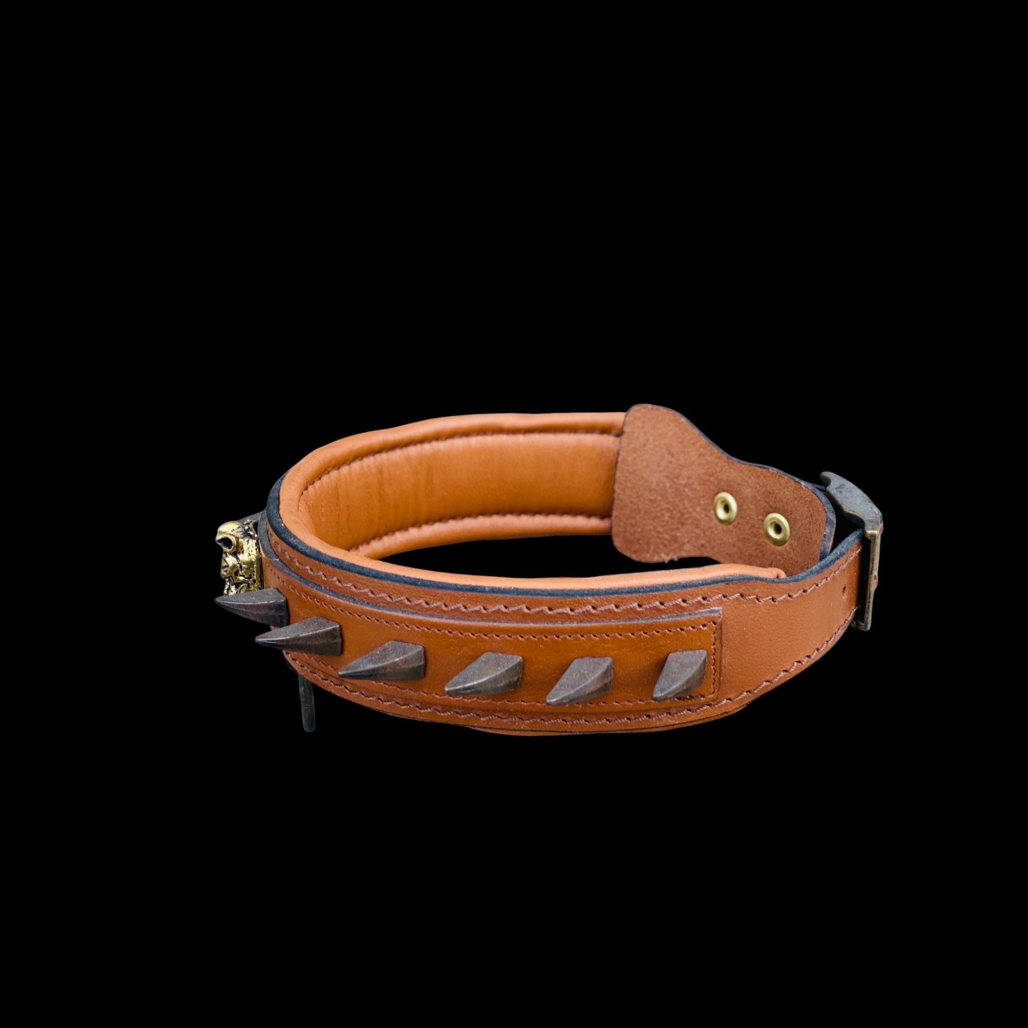 Back view of handmade 1.57 inch brown leather spiked dog collar with steel buckle, ivory spikes and padded interior for Cane Corso and Rottweiler