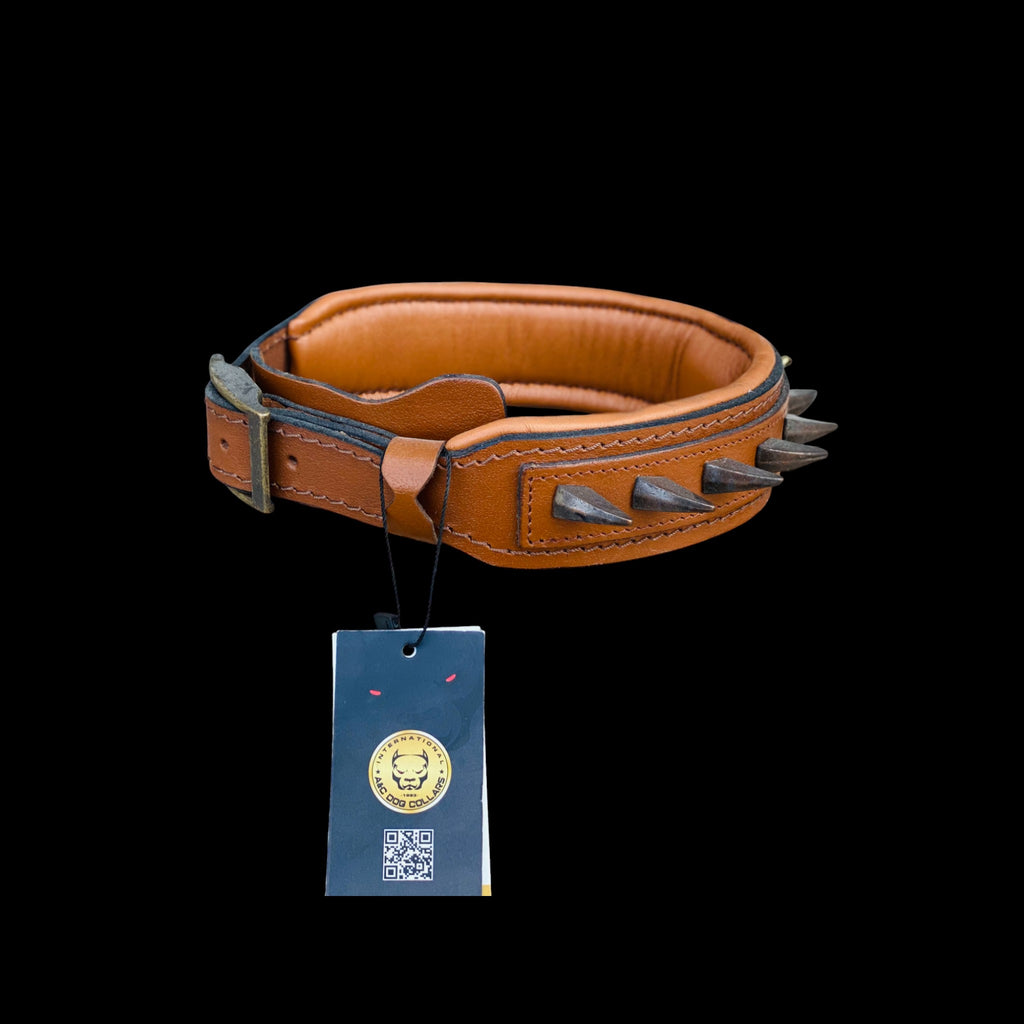 Angled photo of 4 cm wide Bully head dog collar with ivory spikes and strong steel D-ring – durable handmade leather design for large breeds