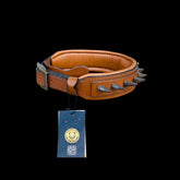 Angled photo of 4 cm wide Bully head dog collar with ivory spikes and strong steel D-ring – durable handmade leather design for large breeds