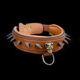 Close-up detail of brown leather dog collar showing ivory spike studs, Bully head logo and reinforced stitching for strength and style