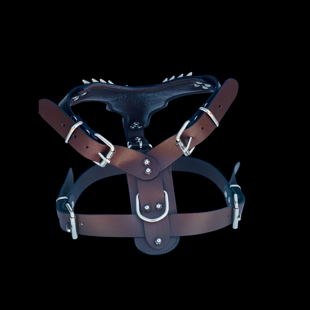 Luxury brown spiked dog harness for Cane Corso