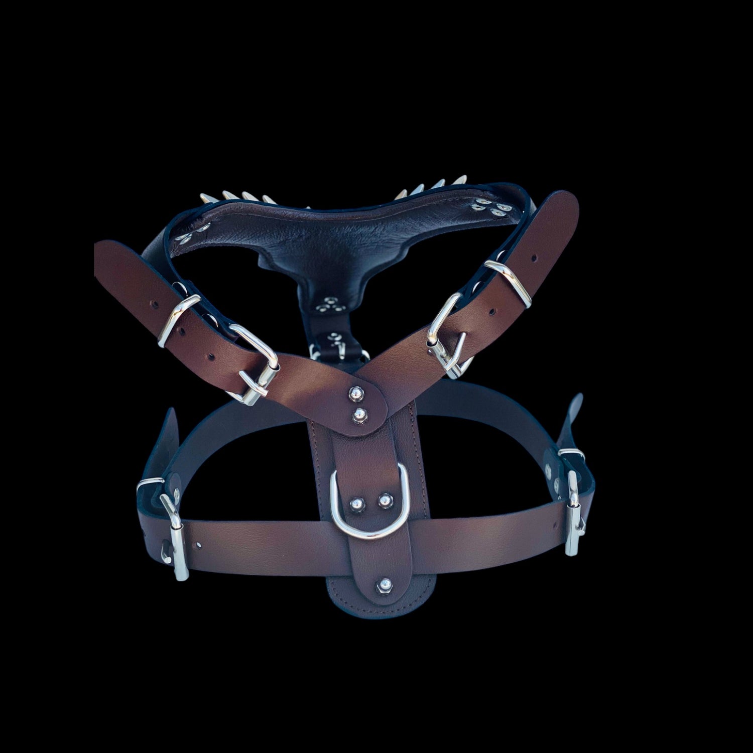 Luxury brown spiked dog harness for Cane Corso