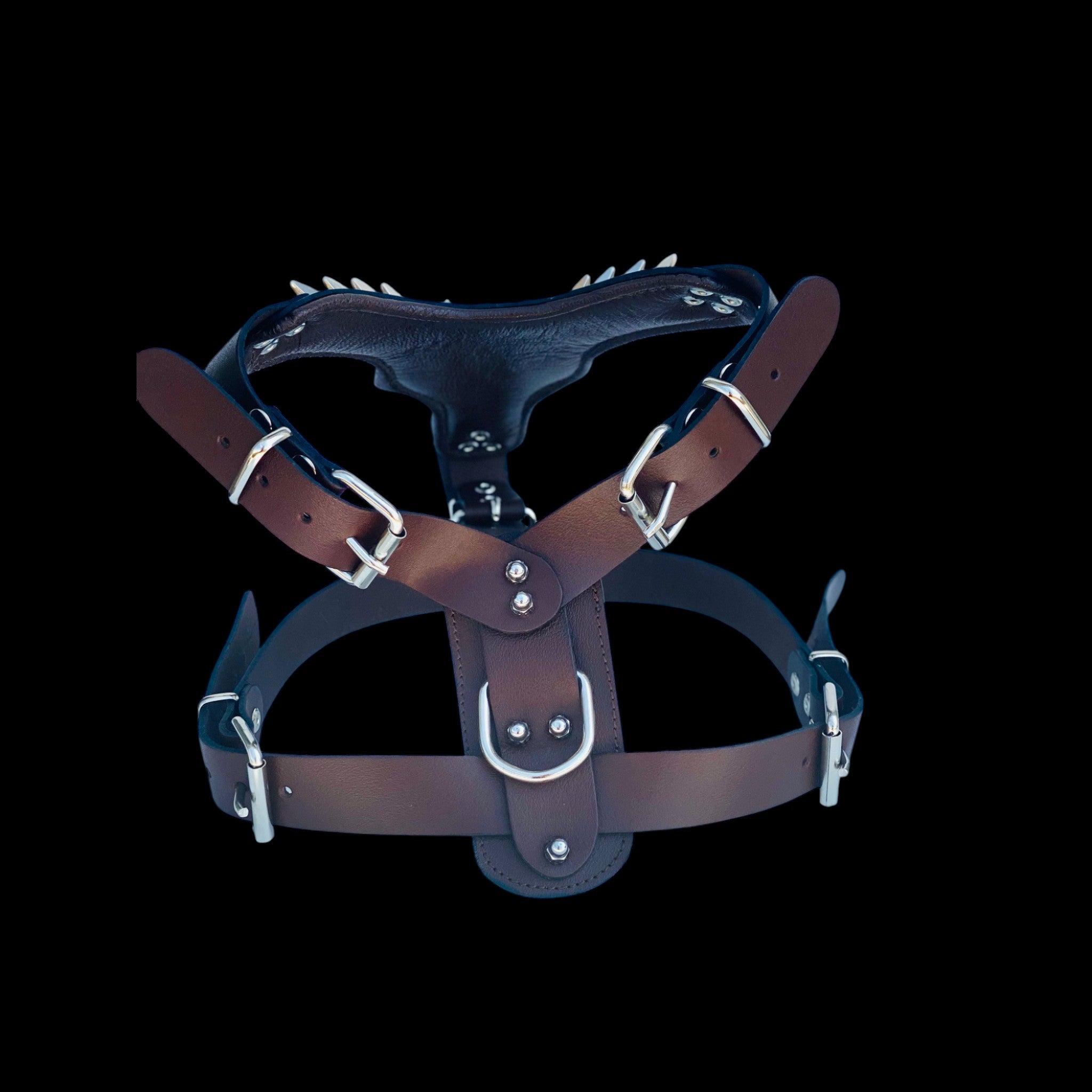 Luxury brown spiked dog harness for Cane Corso