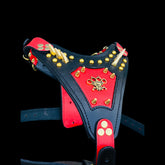 Luxury buffalo leather harness for American Bully