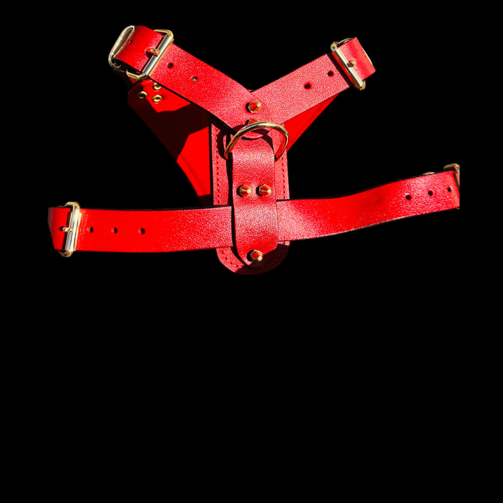Handmade skull logo dog harness for American Bully