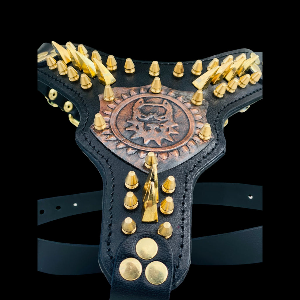 Black leather dog harness with copper engraved logo and gold spikes
