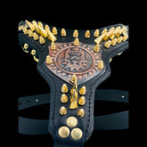 Black leather dog harness with copper engraved logo and gold spikes