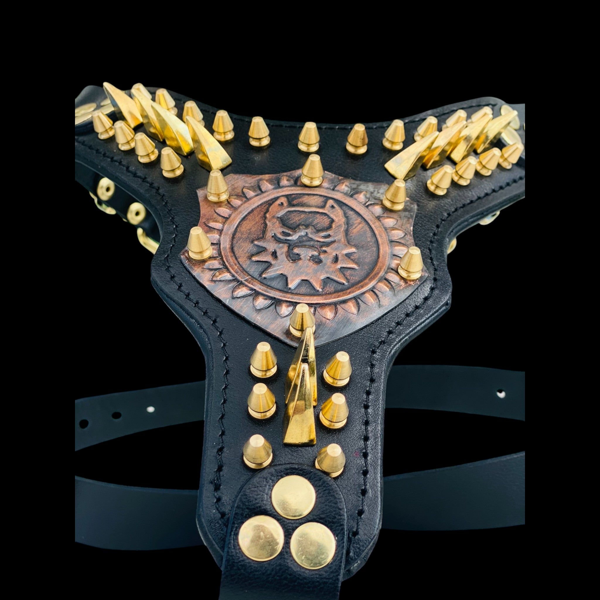 Black leather dog harness with copper engraved logo and gold spikes