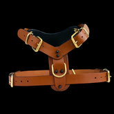 Unique copper logo harness with spikes for Rottweiler