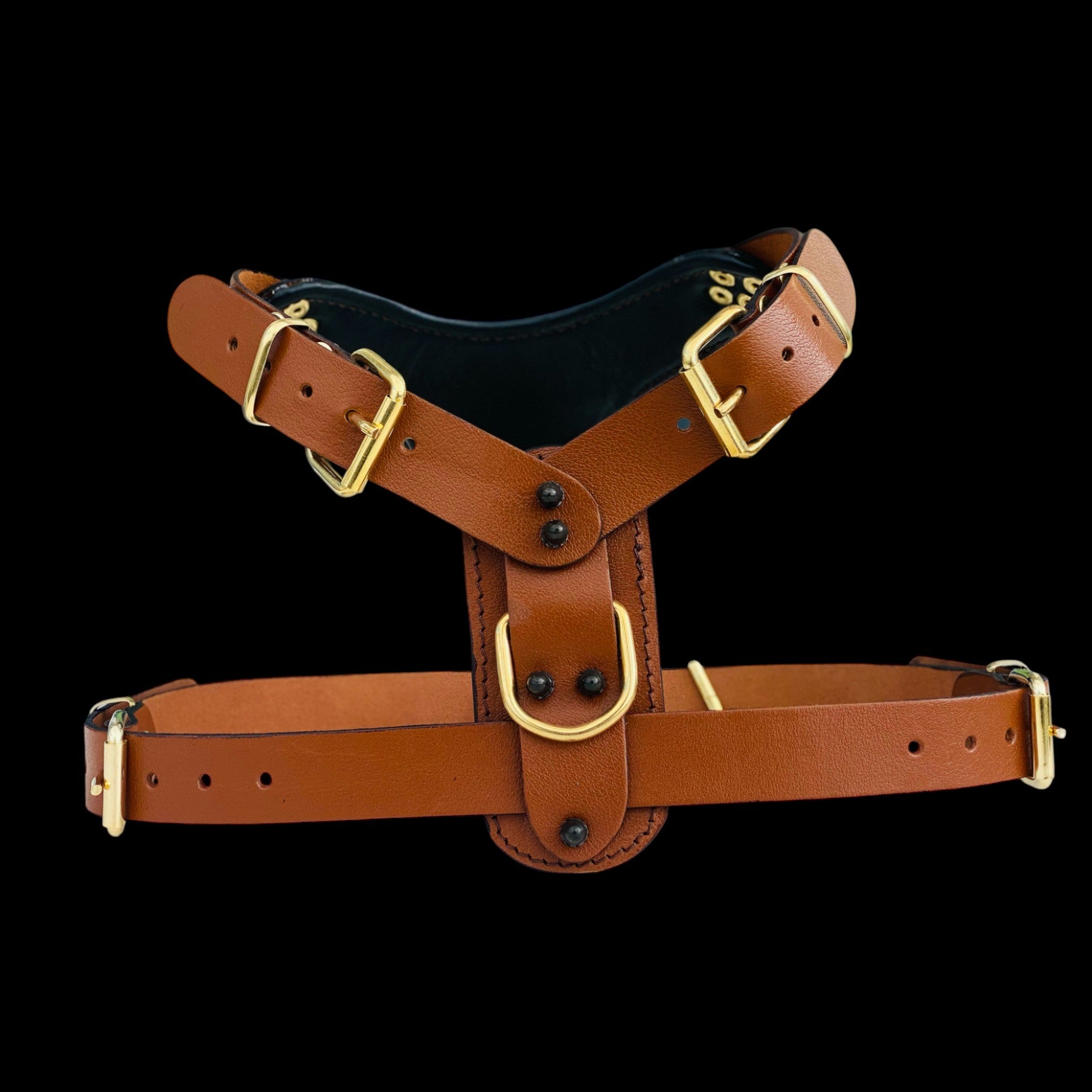Unique copper logo harness with spikes for Rottweiler