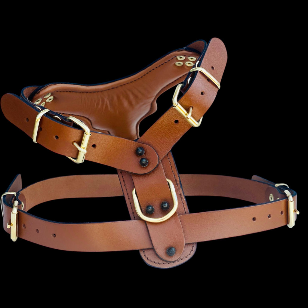 Adjustable leather dog harness with spikes for Doberman and Kangal