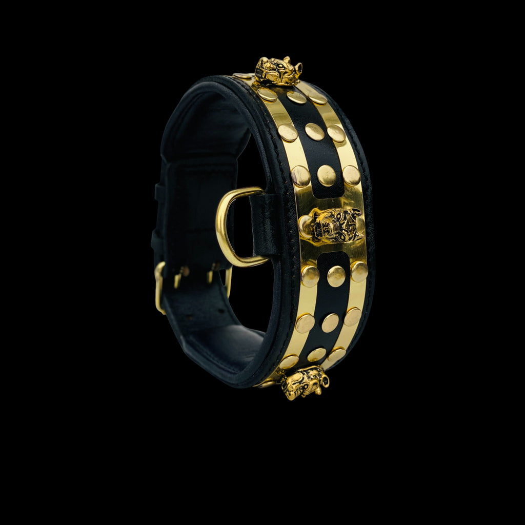 Close-up view of Bully King Gold Edition leather dog collar showing gold-plated steel plates and heavy-duty buckle