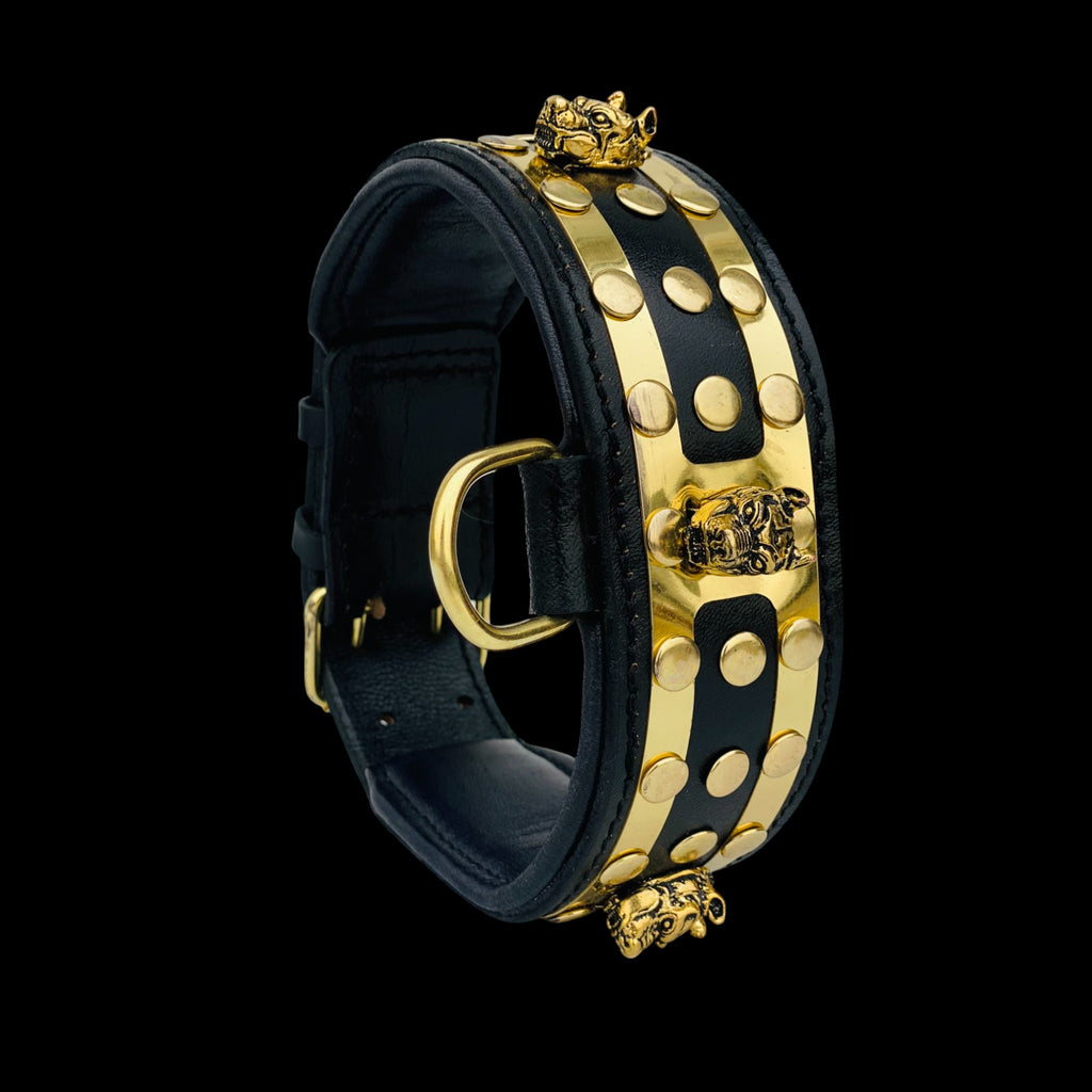 Side view of Bully King Gold Edition collar designed for large breeds such as Kangal, Doberman, and American Bully