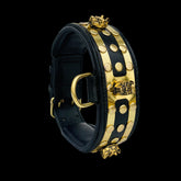 Side view of Bully King Gold Edition collar designed for large breeds such as Kangal, Doberman, and American Bully