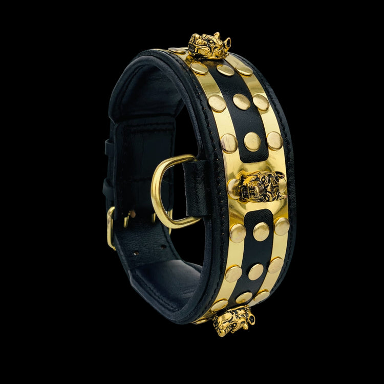 Side view of Bully King Gold Edition collar designed for large breeds such as Kangal, Doberman, and American Bully
