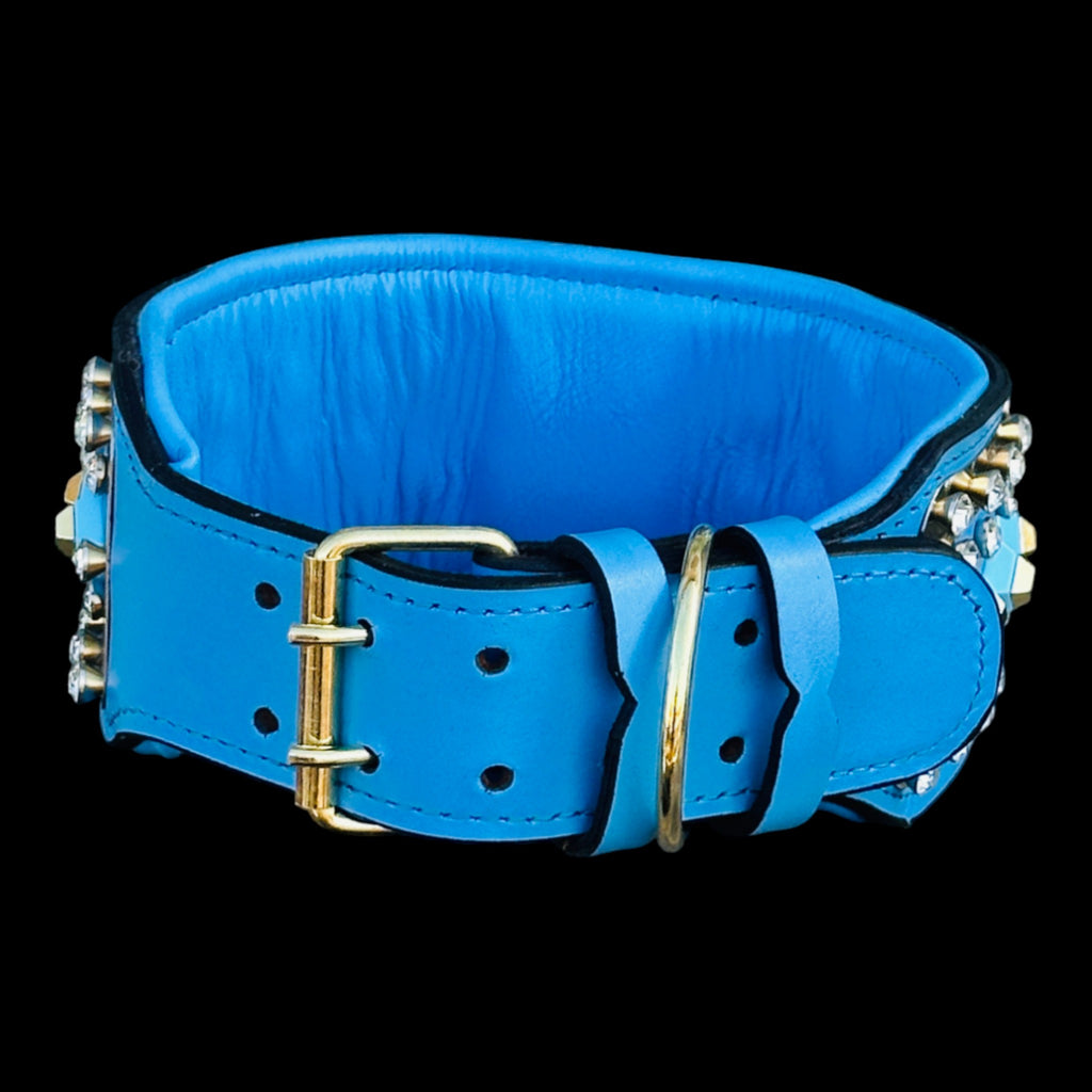 Cane Corso wearing blue gold handmade collar