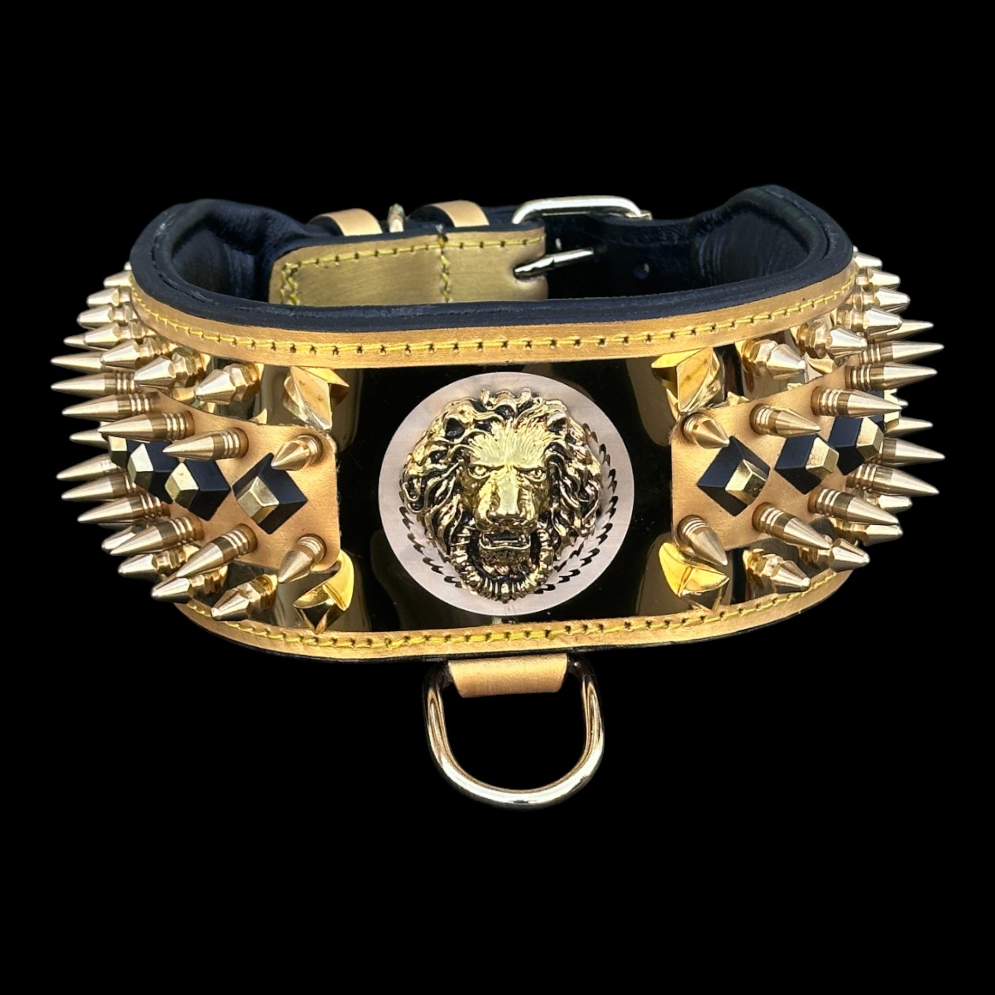 Cane Corso wearing Lion’s Empire collar